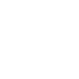 大白屄